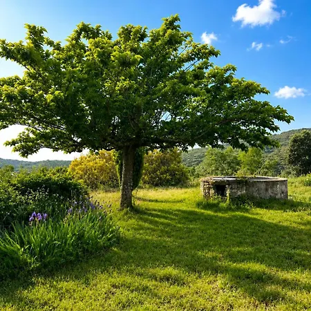 Lejlighed Maisonnette A Montan - Sud Ardeche