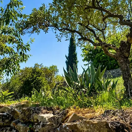Maisonnette A Montan - Sud Ardeche Lejlighed
