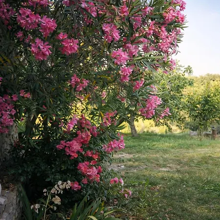 Maisonnette A Montan - Sud Ardeche Appartement Saint-Montan