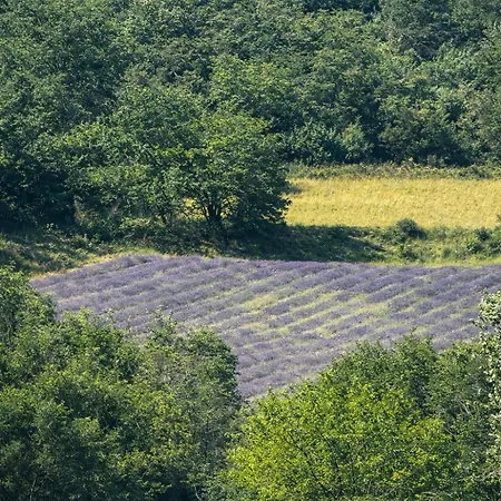 Maisonnette Avec Piscine - Sud Ardeche *