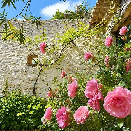 Maisonnette A Montan - Sud Ardeche * Saint-Montan