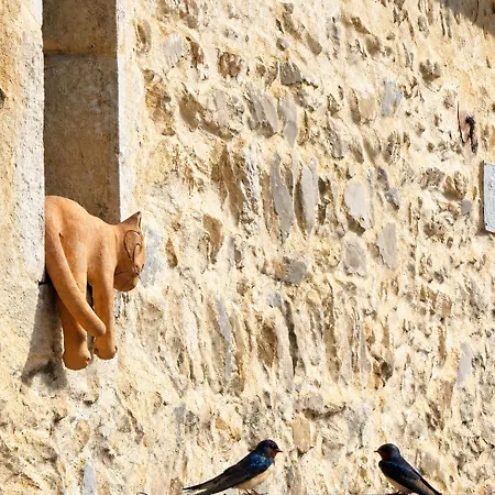 Maisonnette A Montan - Sud Ardeche